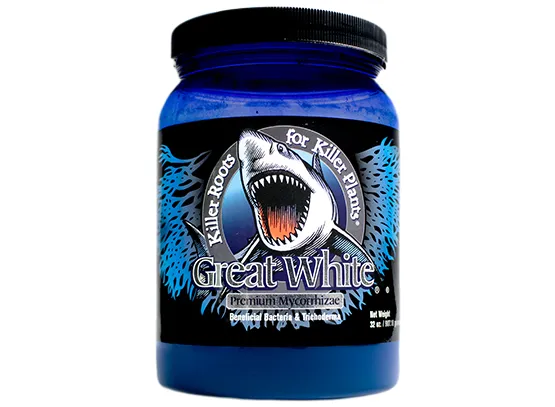 Great White Premium